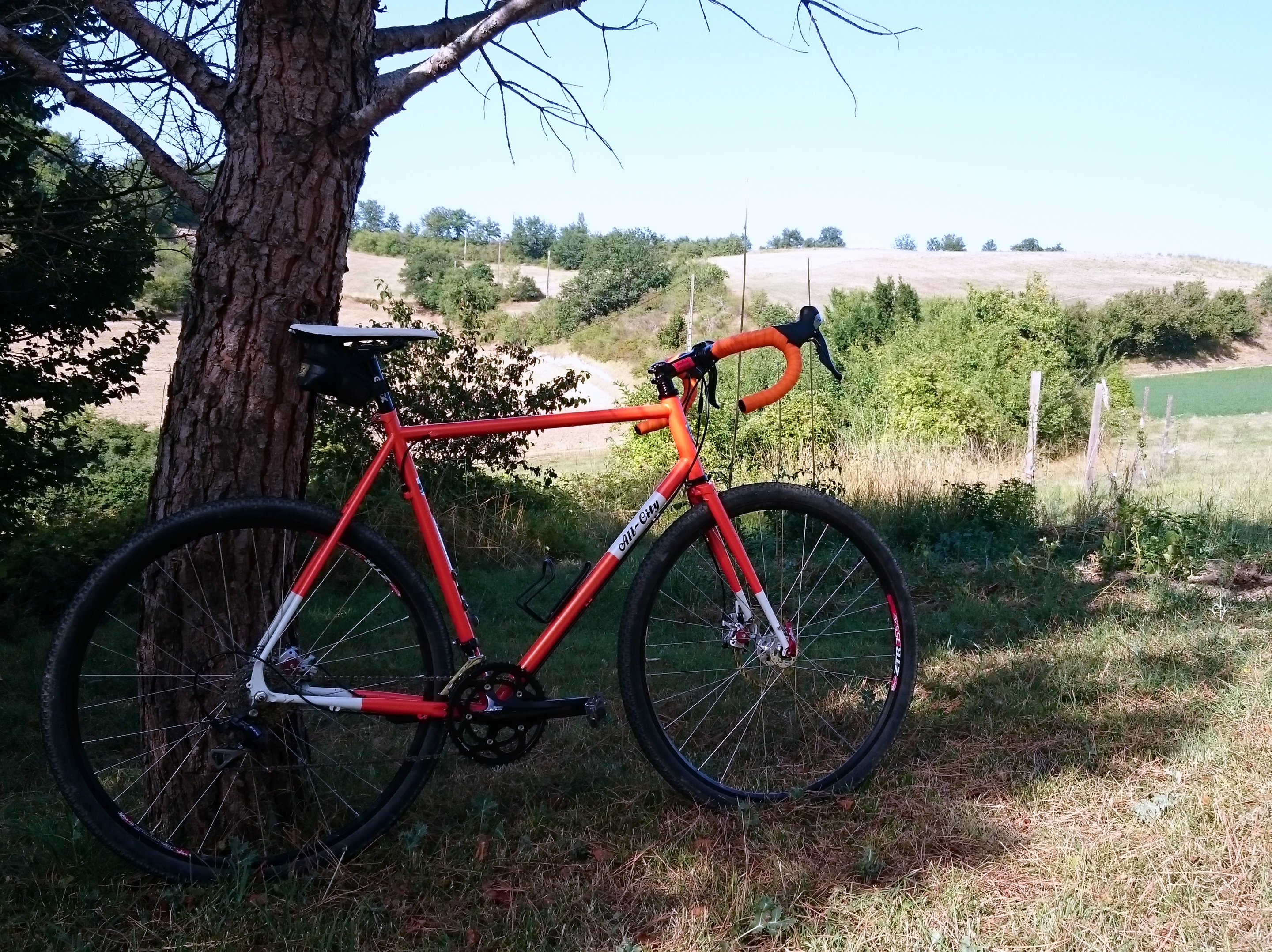 Bike on Tree